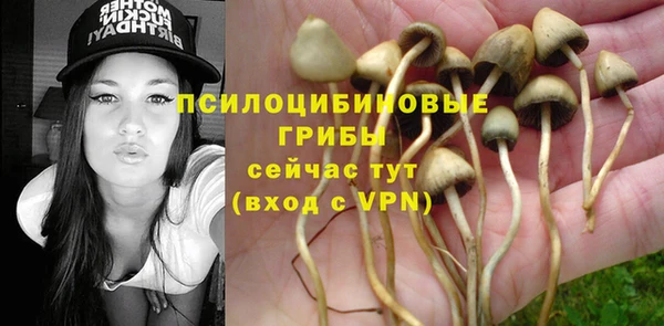 гидропоника Абаза